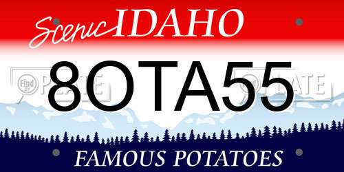 8OTA55 Idaho License Plate