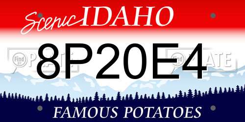 8P20E4 Idaho License Plate