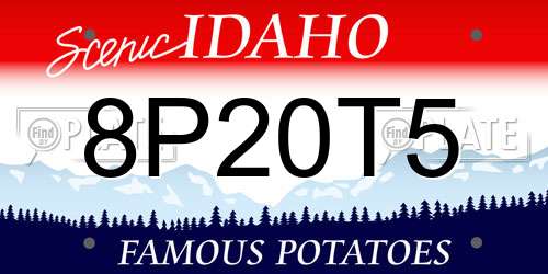 8P20T5 Idaho License Plate