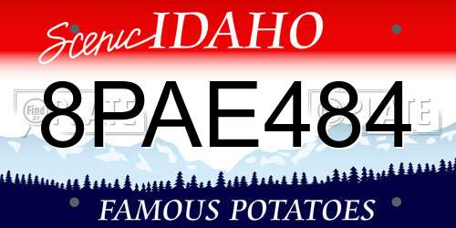 8PAE484 Idaho License Plate