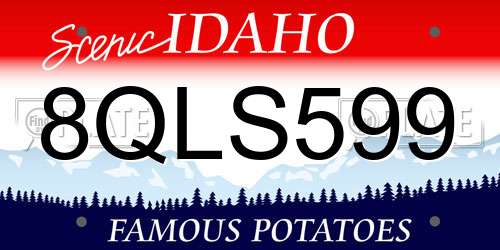 8QLS599 Idaho License Plate