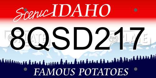 8QSD217 Idaho License Plate