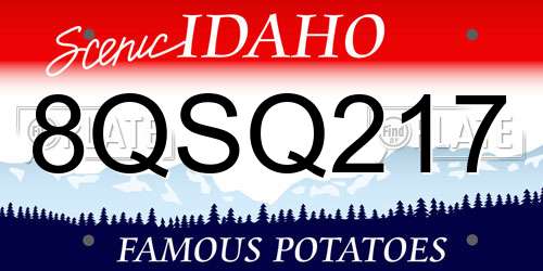 8QSQ217 Idaho License Plate