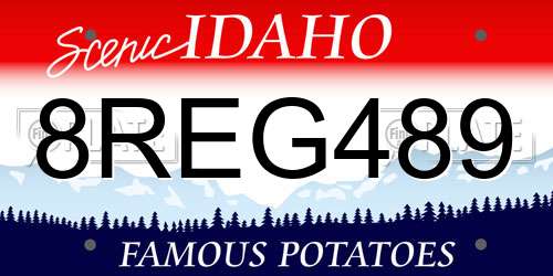 8REG489 Idaho License Plate