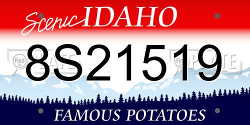 8S21519 Idaho License Plate