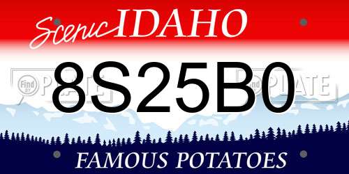 8S25B0 Idaho License Plate