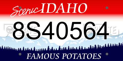 8S40564 Idaho License Plate