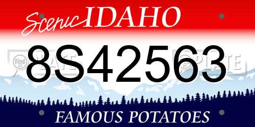 8S42563 Idaho License Plate