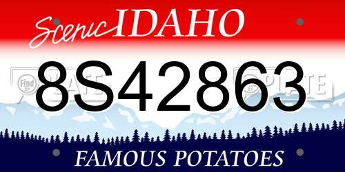 8S42863 Idaho License Plate