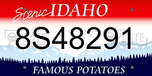 8S48291 Idaho License Plate