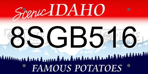 8SGB516 Idaho License Plate