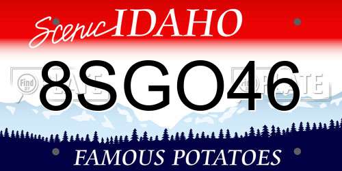 8SGO46 Idaho License Plate