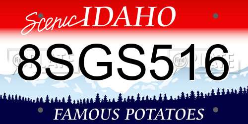 8SGS516 Idaho License Plate