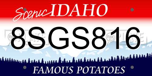 8SGS816 Idaho License Plate