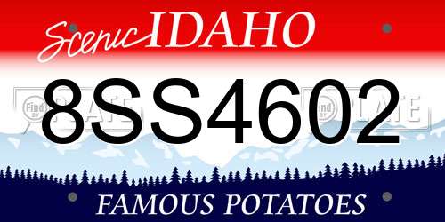 8SS4602 Idaho License Plate