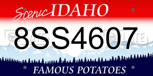 8SS4607 Idaho License Plate