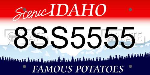 8SS5555 Idaho License Plate