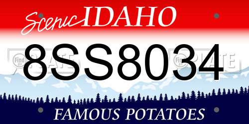 8SS8034 Idaho License Plate