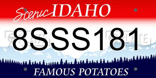 8SSS181 Idaho License Plate