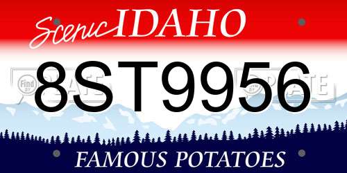 8ST9956 Idaho License Plate