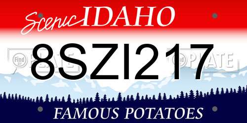 8SZI217 Idaho License Plate