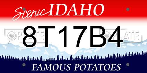 8T17B4 Idaho License Plate