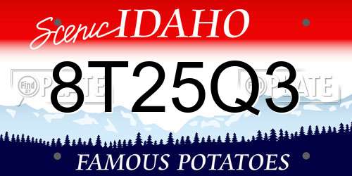 8T25Q3 Idaho License Plate