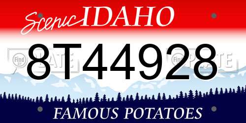 8T44928 Idaho License Plate