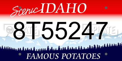 8T55247 Idaho License Plate