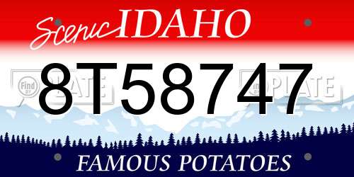 8T58747 Idaho License Plate