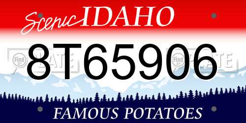 8T65906 Idaho License Plate
