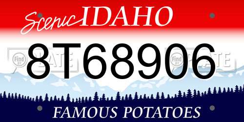 8T68906 Idaho License Plate