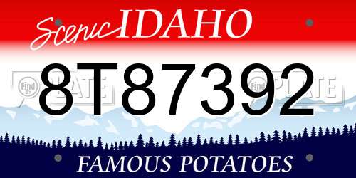 8T87392 Idaho License Plate