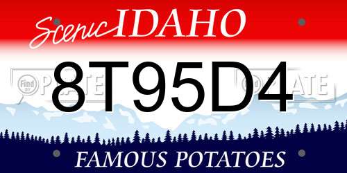 8T95D4 Idaho License Plate