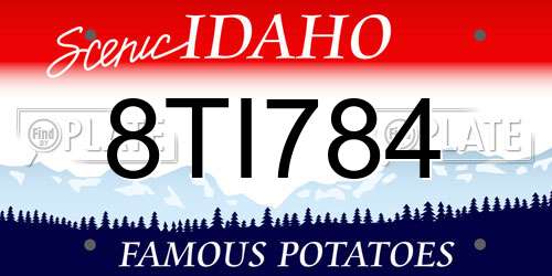8TI784 Idaho License Plate