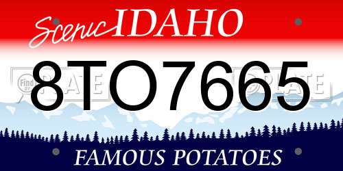 8TO7665 Idaho License Plate