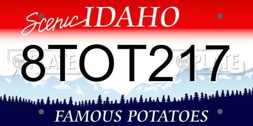 8TOT217 Idaho License Plate