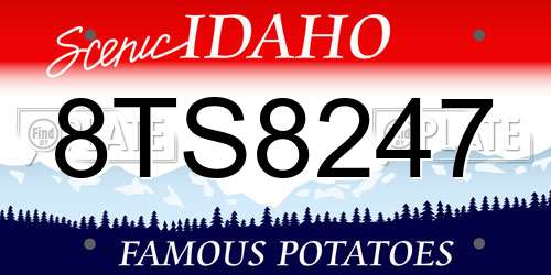 8TS8247 Idaho License Plate
