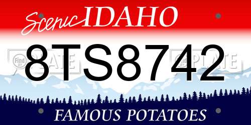 8TS8742 Idaho License Plate