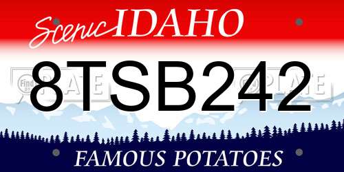8TSB242 Idaho License Plate