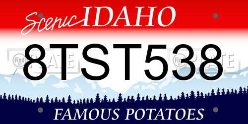 8TST538 Idaho License Plate