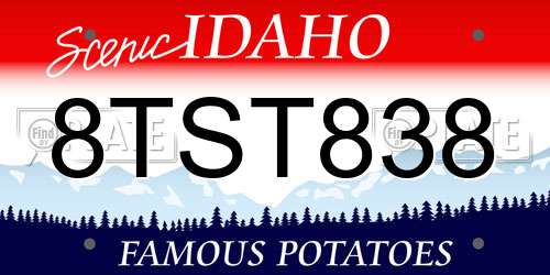 8TST838 Idaho License Plate