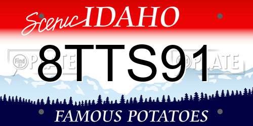 8TTS91 Idaho License Plate
