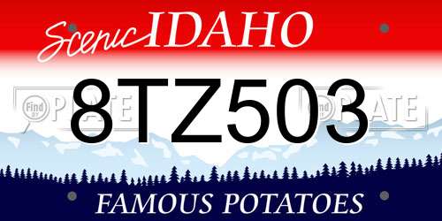 8TZ503 Idaho License Plate