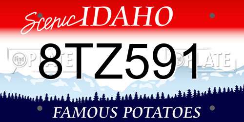 8TZ591 Idaho License Plate