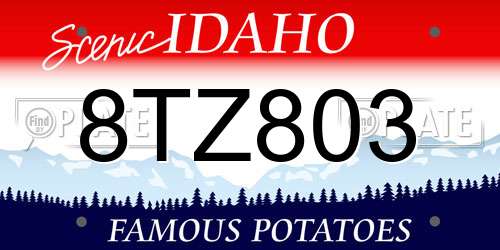 8TZ803 Idaho License Plate