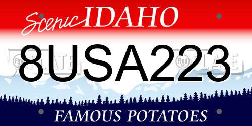 8USA223 Idaho License Plate