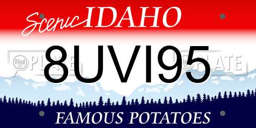 8UVI95 Idaho License Plate