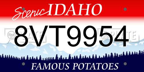 8VT9954 Idaho License Plate