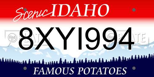 8XYI994 Idaho License Plate